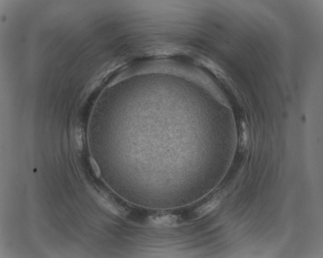 X0000062830452200601131302