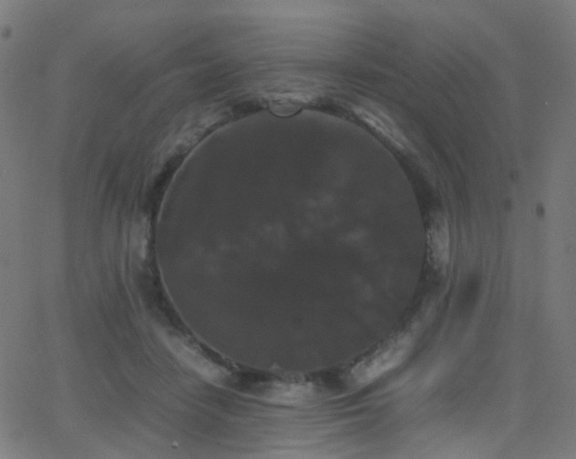 X0000062830458200601131302