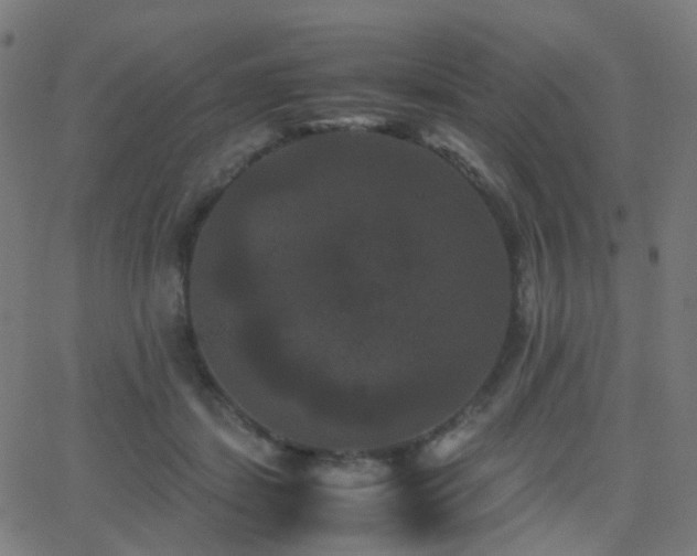 X0000062830459200601131302