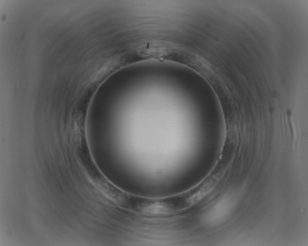 X0000062830460200601131302