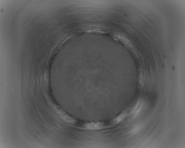 X0000062830461200601131302