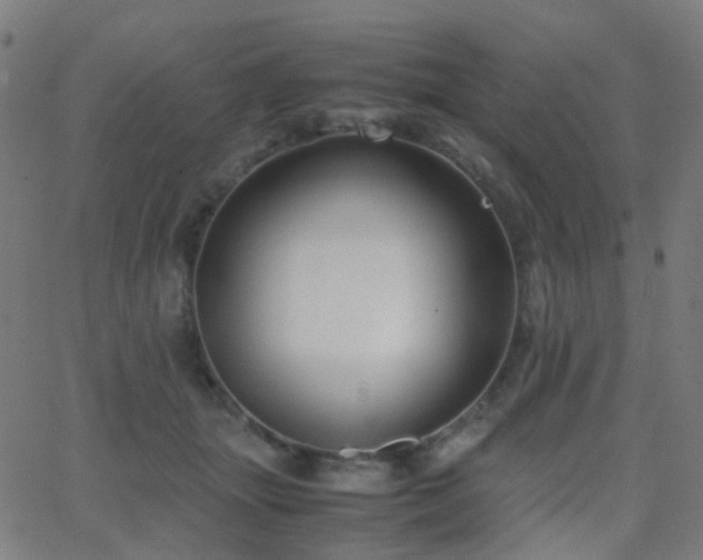 X0000062830463200601131302