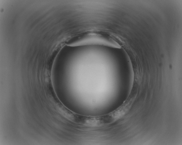 X0000062830470200601131303