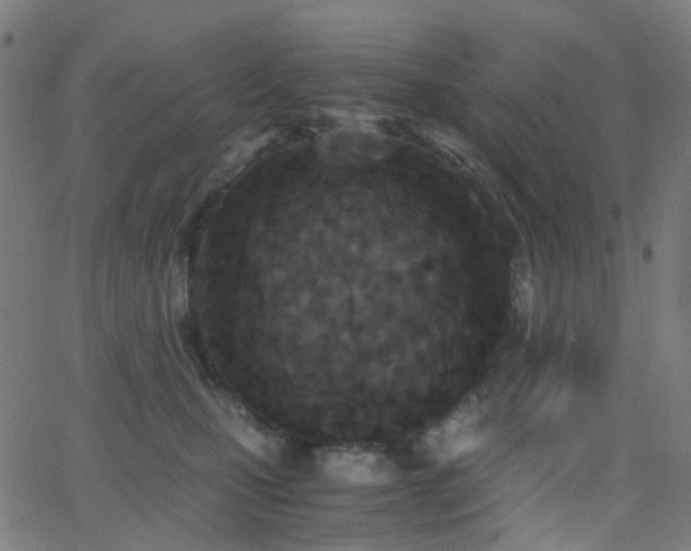 X0000062830471200601131303