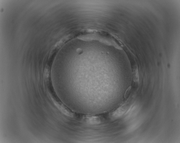 X0000062830472200601131303