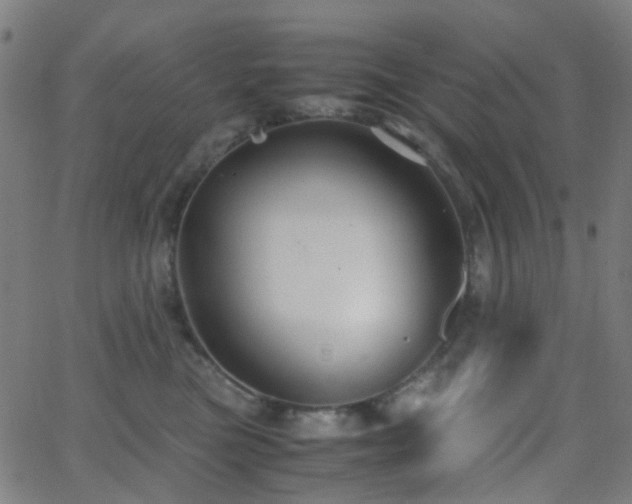 X0000062830473200601131303