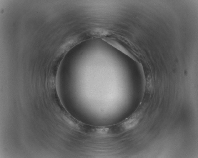 X0000062830474200601131303