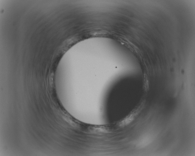 X0000062830475200601131303