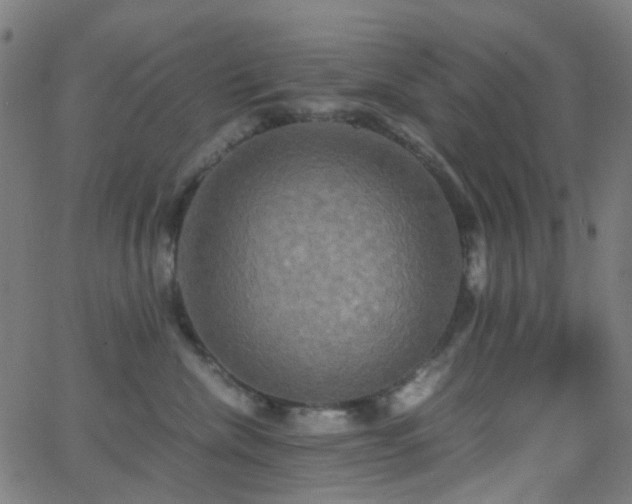 X0000062830476200601131303