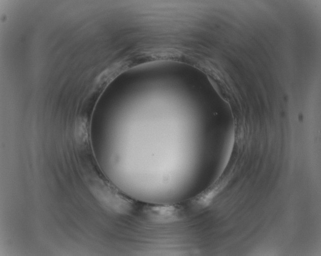 X0000062830478200601131303