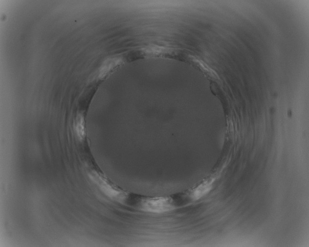 X0000062830479200601131303