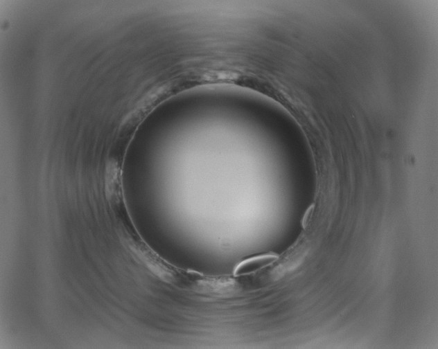 X0000062830480200601131303