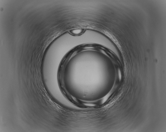 X0000062830481200601131302