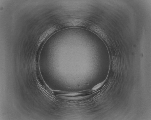 X0000062830482200601131302