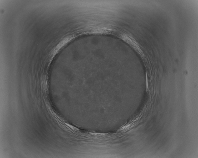 X0000062830483200601131302