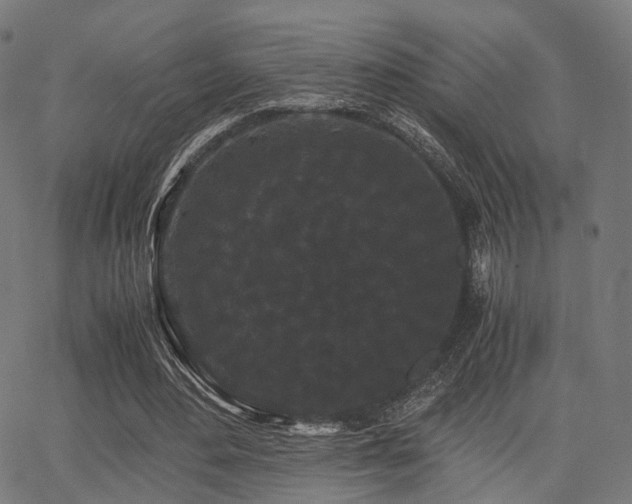 X0000062830484200601131302