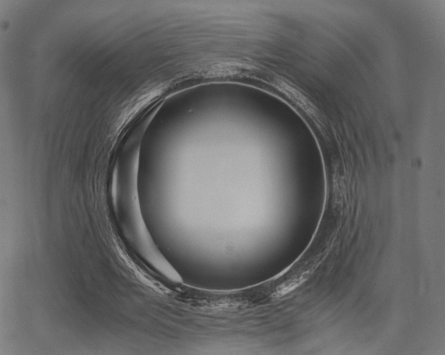 X0000062830485200601131302