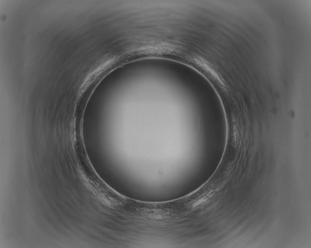 X0000062830486200601131302