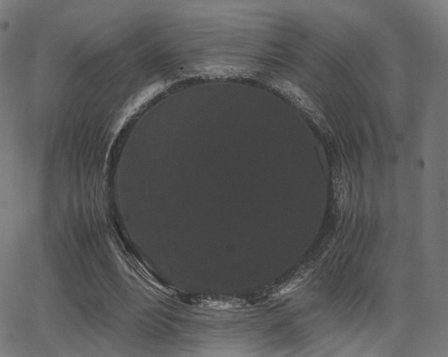 X0000062830488200601131302