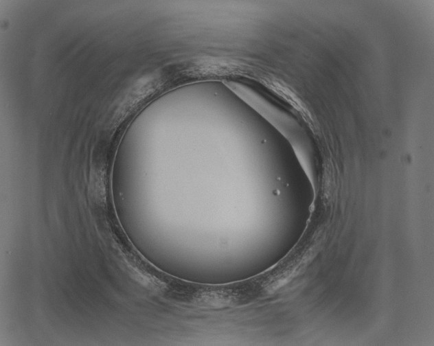 X0000062830489200601131302