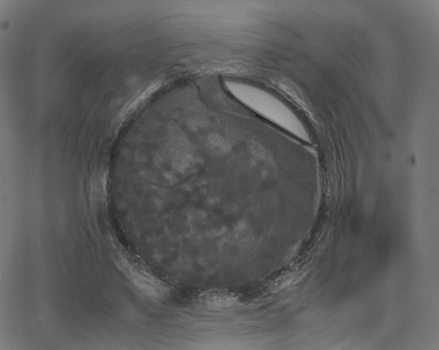 X0000062830491200601131302