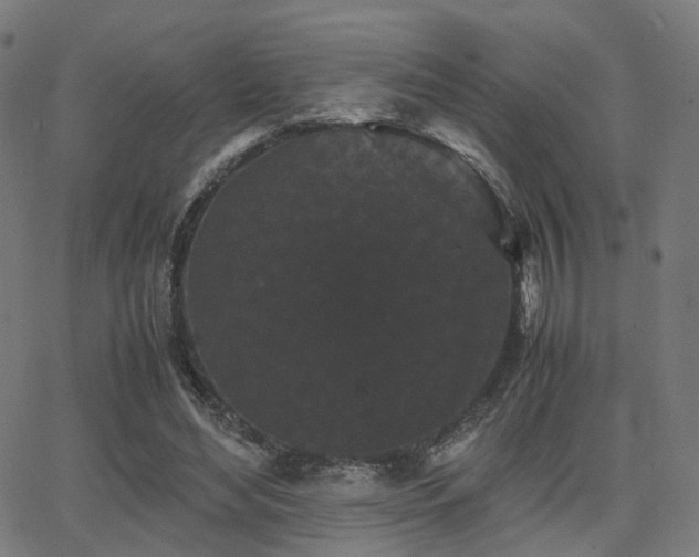 X0000062830492200601131302