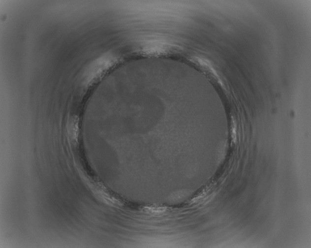 X0000062830495200601131302