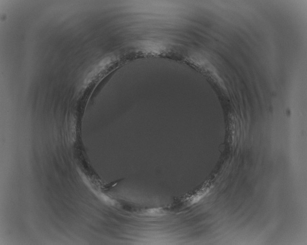 X0000062830496200601131302