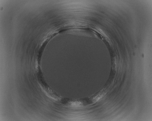 X0000062830500200601131301