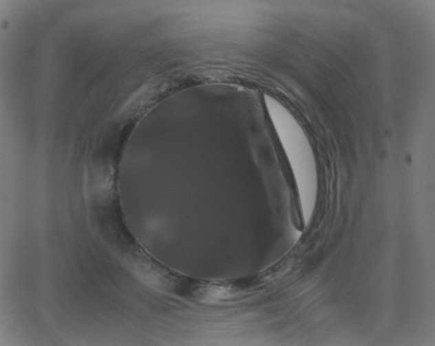 X0000062830507200601131301