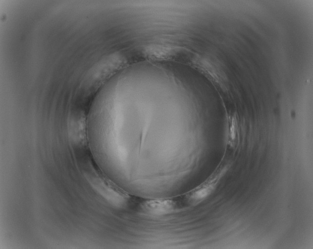 X0000062830526200601131301