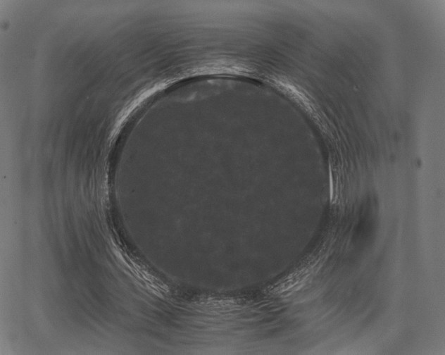 X0000062830531200601131300