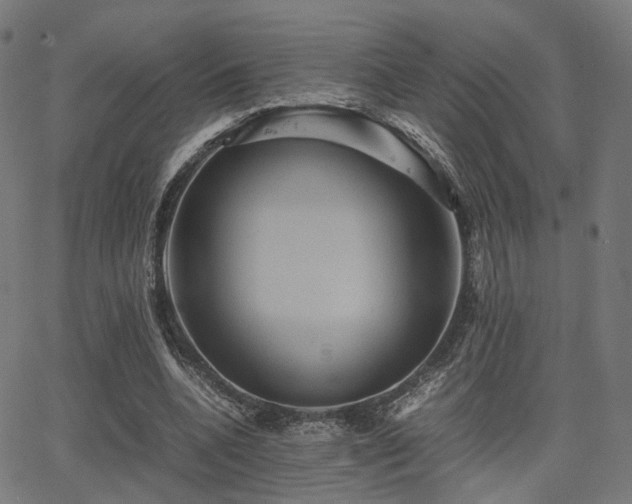 X0000062830536200601131300