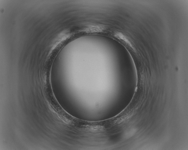 X0000062830539200601131300