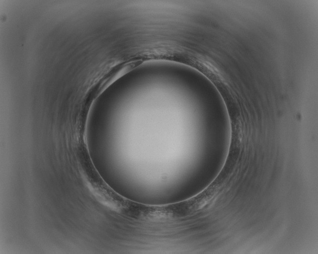 X0000062830546200601131300