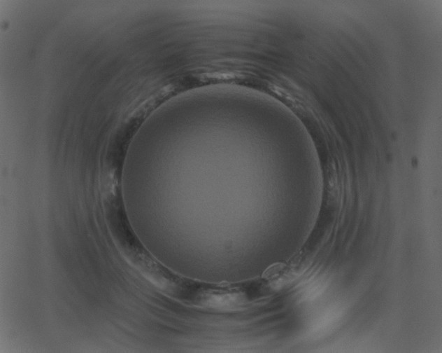 X0000062830555200601131301