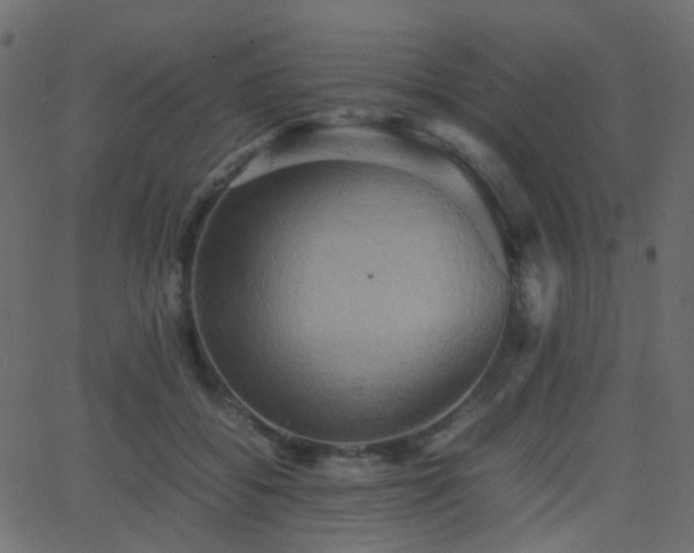 X0000062830556200601131301