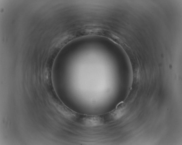 X0000062830567200601131301