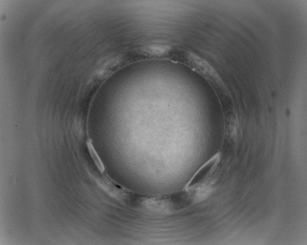 X0000062830568200601131301