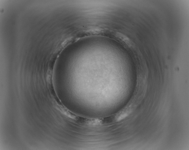 X0000062830576200601131301
