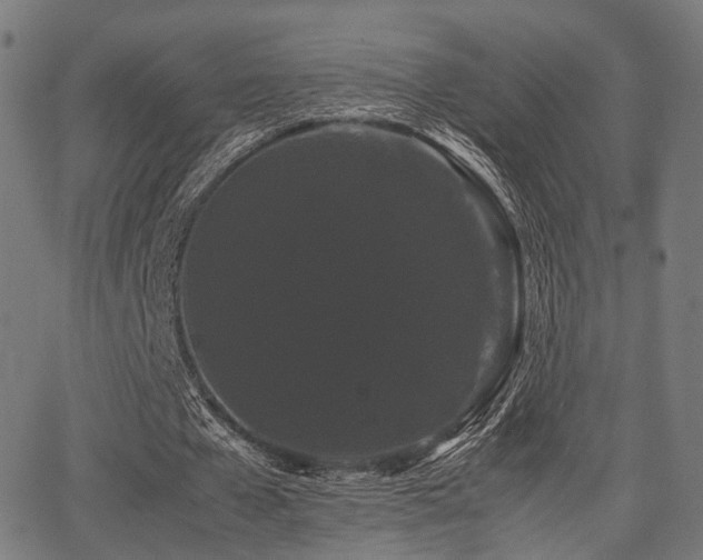 X0000062830577200601131300