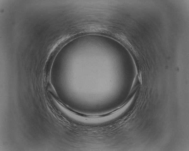 X0000062830579200601131300