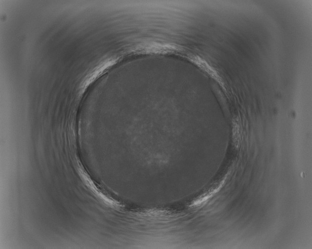 X0000062830581200601131300