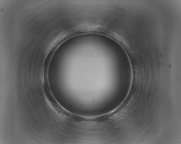 X0000062830582200601131300