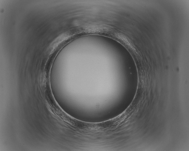 X0000062830583200601131300