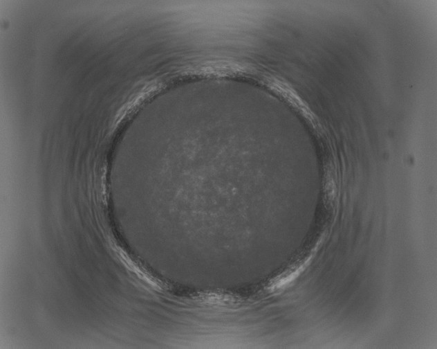 X0000062830585200601131300