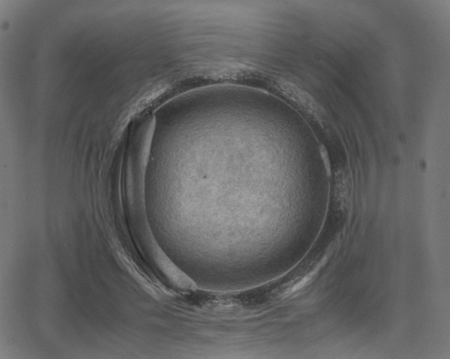 X0000062830589200601131300