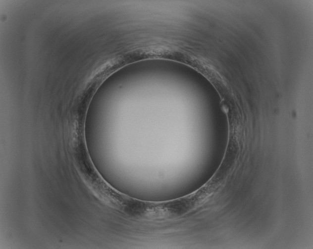 X0000062830591200601131300