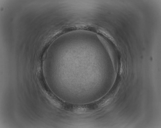 X0000062830593200601131300