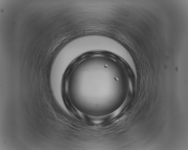 X0000062830595200601131300